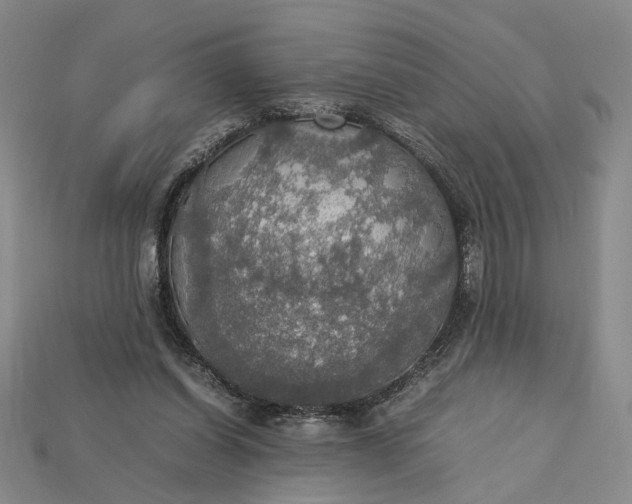 X0000115180254200911121807