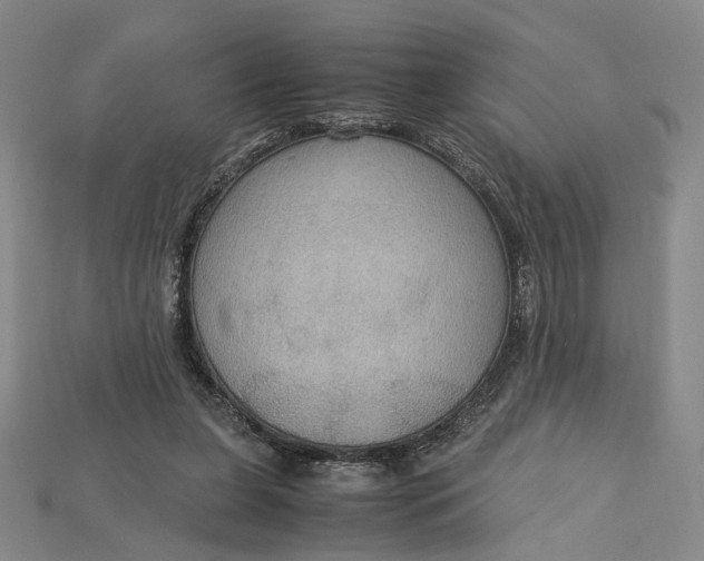 X0000115180255200911121807