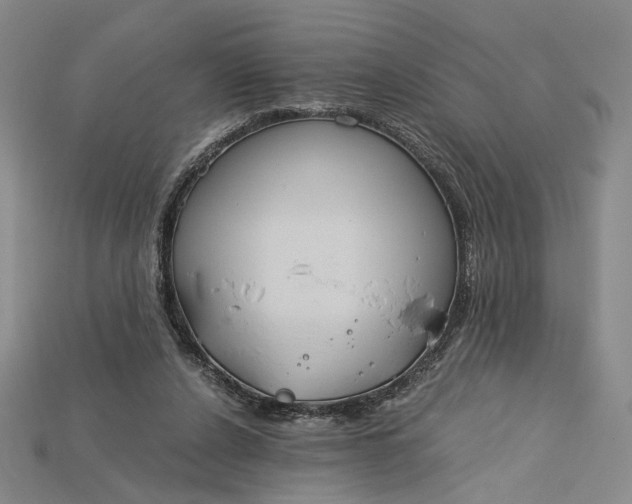 X0000115180256200911121807