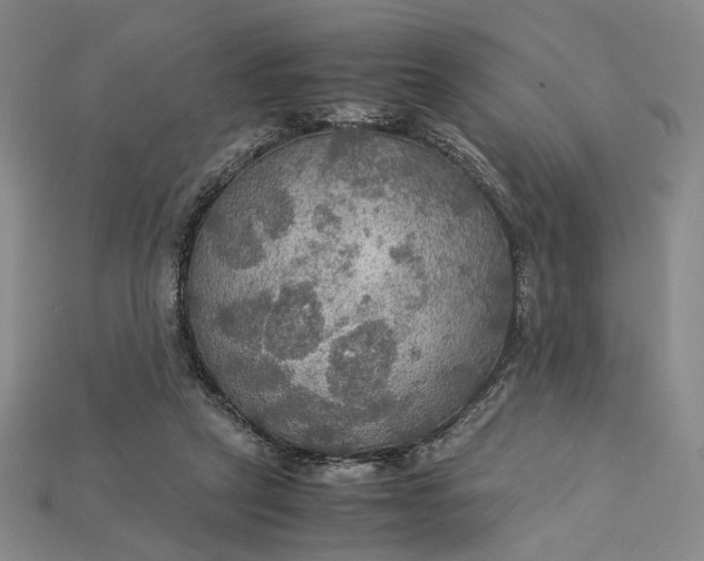 X0000115180257200911121807