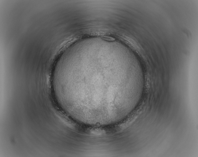 X0000115180258200911121807