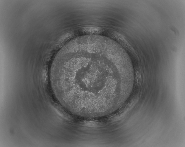 X0000115180259200911121807