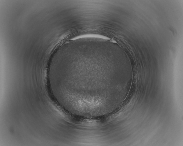 X0000115180260200911121807
