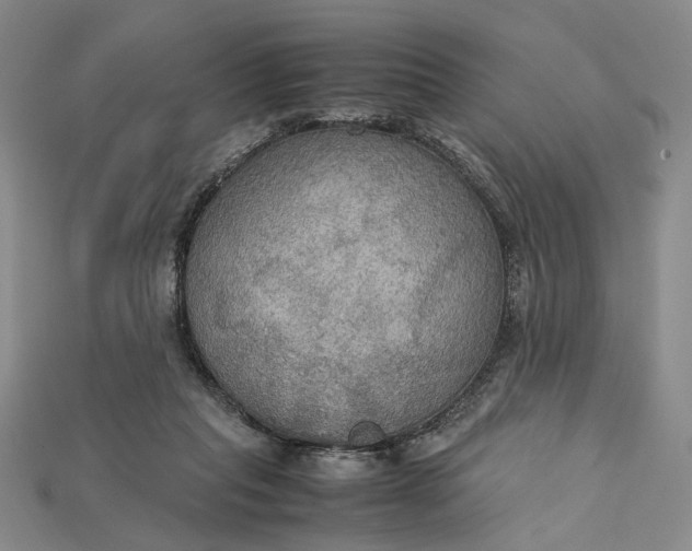 X0000115180261200911121807