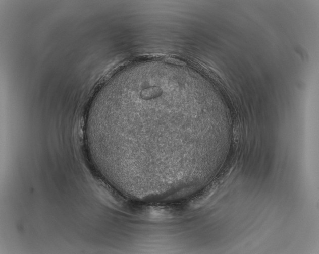 X0000115180264200911121807