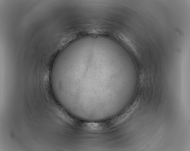 X0000115180265200911121807