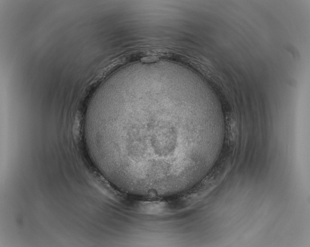 X0000115180266200911121807