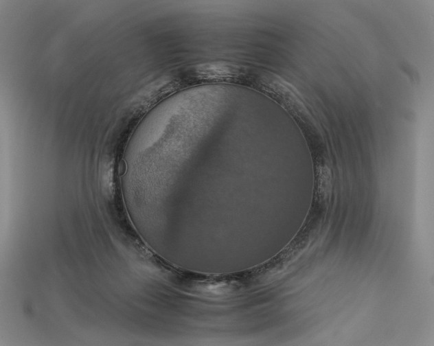 X0000115180267200911121807