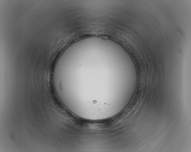 X0000115180268200911121807