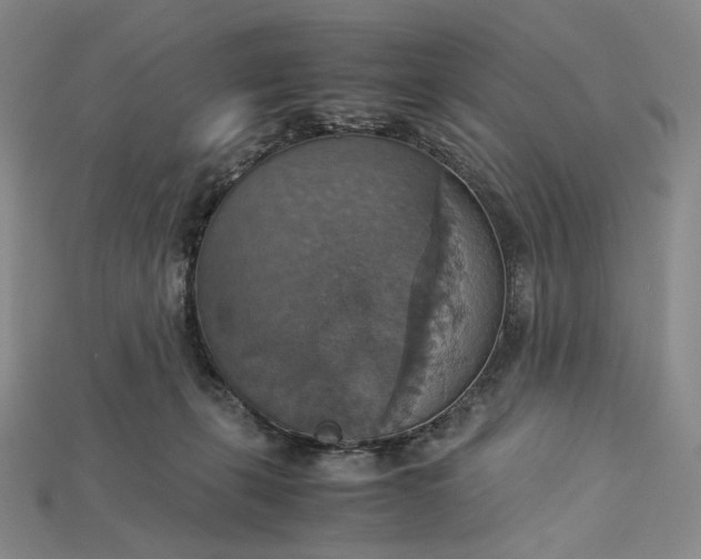 X0000115180271200911121807