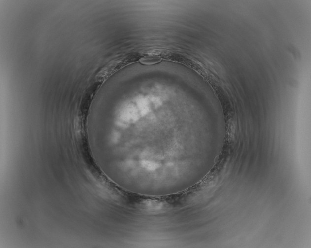 X0000115180272200911121807