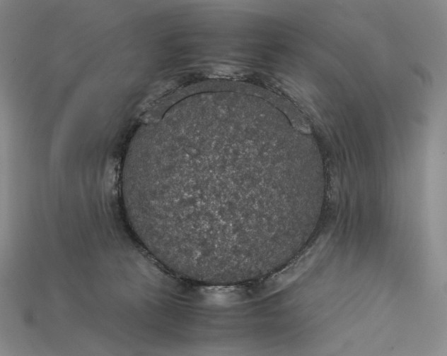 X0000115180273200911121807