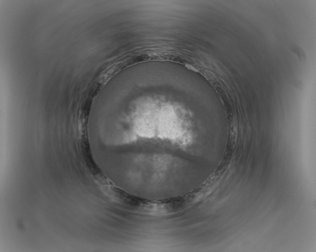 X0000115180276200911121807