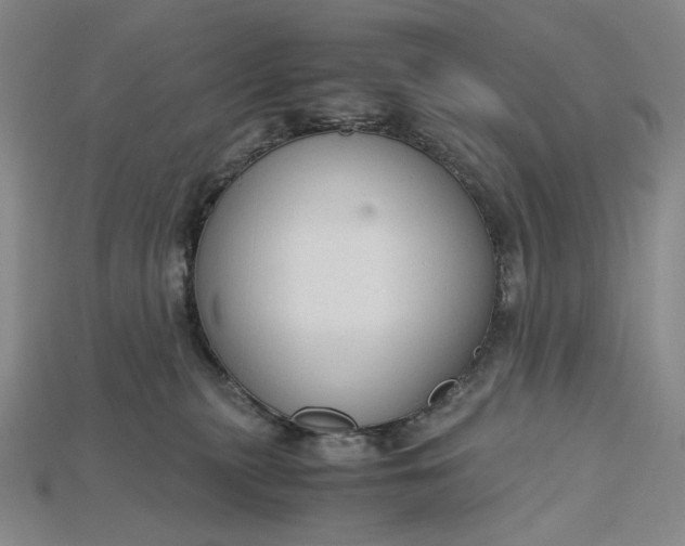X0000115180279200911121807