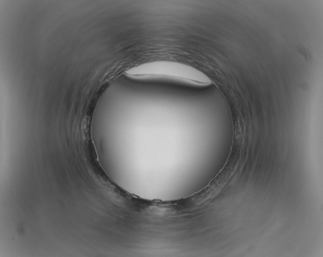 X0000115180280200911121807