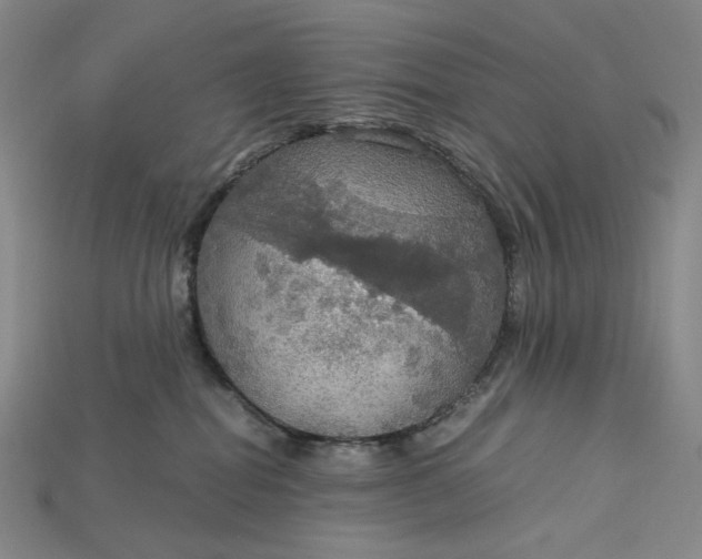 X0000115180282200911121807
