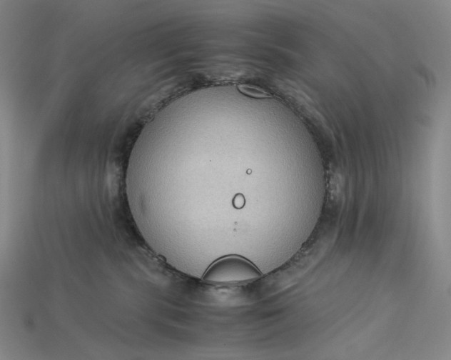 X0000115180283200911121807
