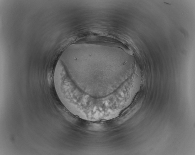 X0000115180285200911121807