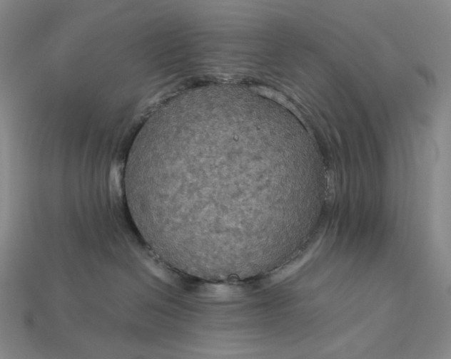 X0000115180286200911121808