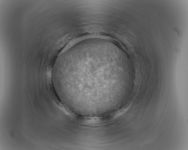 X0000115180288200911121808