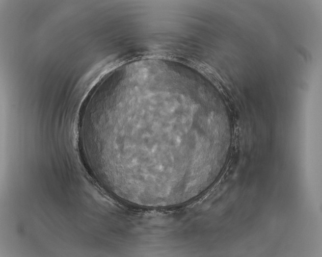 X0000115180290200911121807