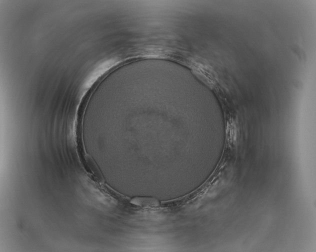 X0000115180292200911121807