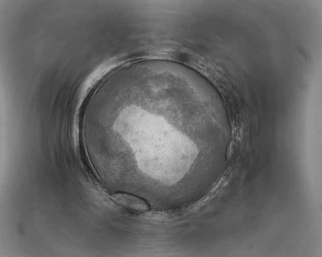 X0000115180294200911121807