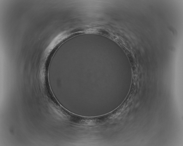 X0000115180295200911121807