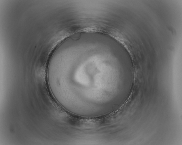 X0000115180297200911121807