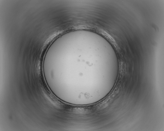 X0000115180298200911121807