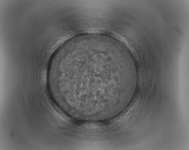 X0000115180299200911121807