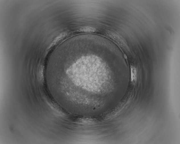 X0000115180300200911121807