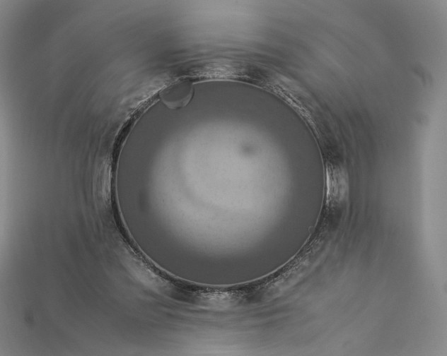 X0000115180301200911121807