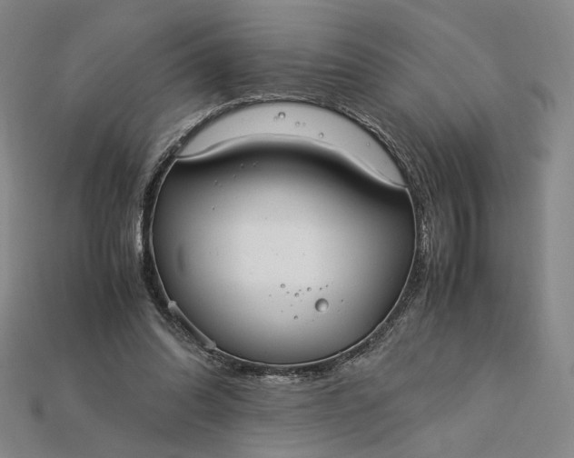 X0000115180302200911121807