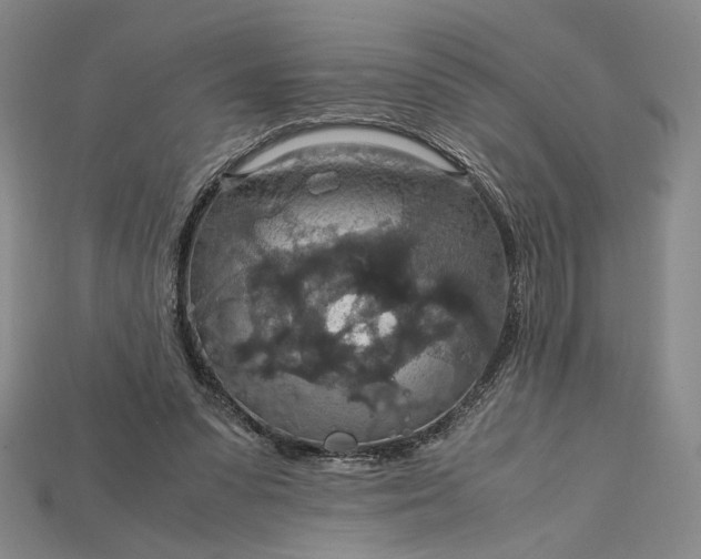 X0000115180303200911121807