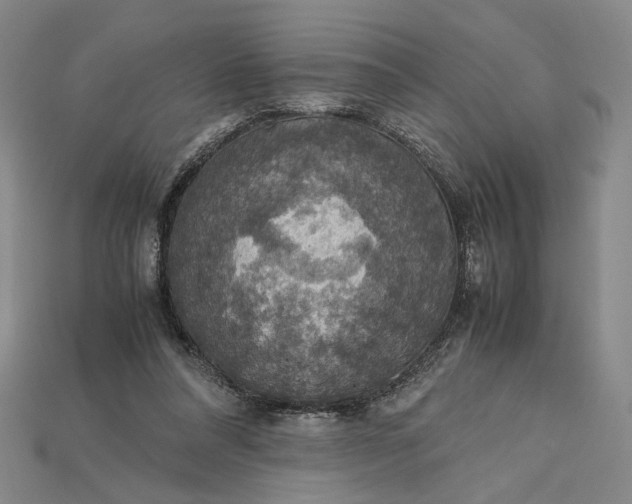 X0000115180304200911121807