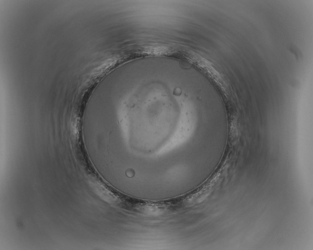 X0000115180305200911121807