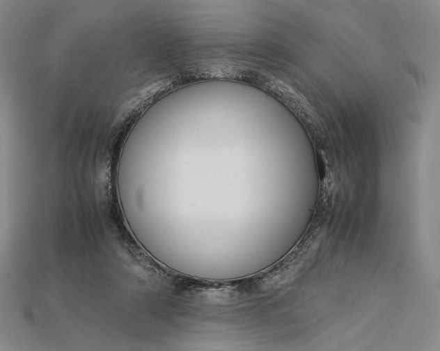 X0000115180306200911121807
