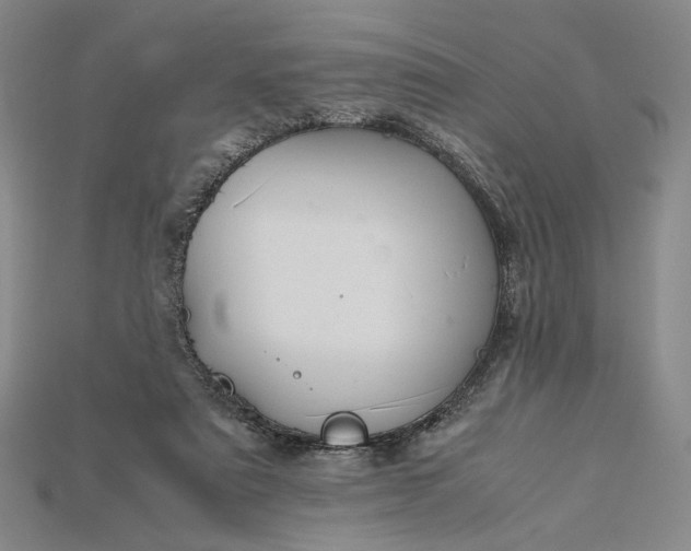 X0000115180307200911121807