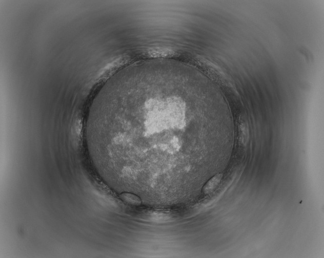 X0000115180308200911121807