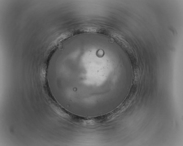X0000115180309200911121807