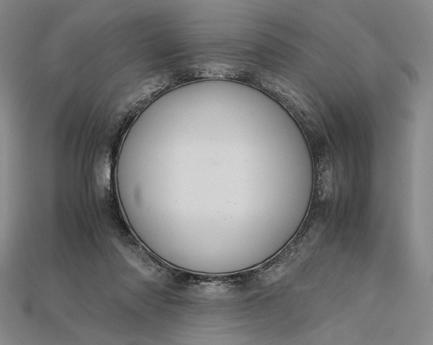 X0000115180310200911121807