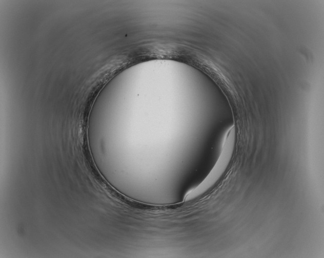 X0000115180313200911121806