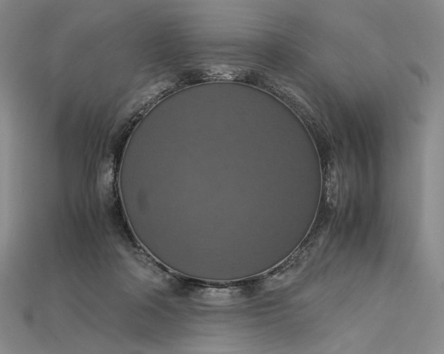 X0000115180314200911121806