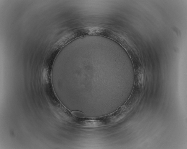 X0000115180316200911121806
