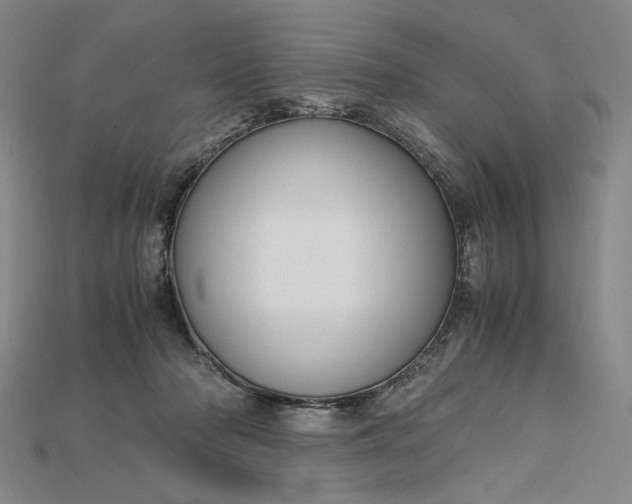 X0000115180318200911121806