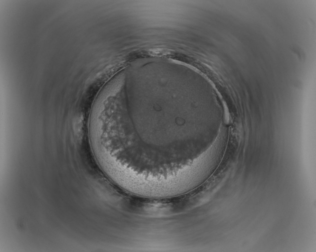 X0000115180319200911121806