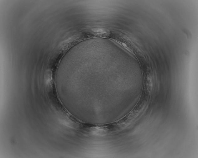 X0000115180320200911121806
