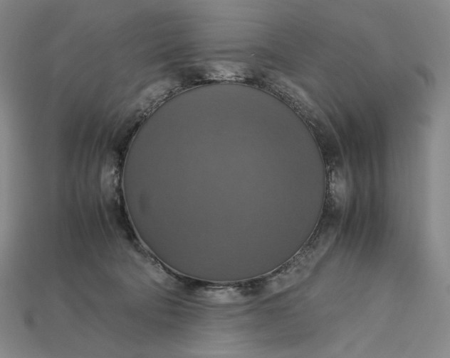 X0000115180322200911121806