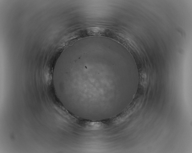 X0000115180324200911121806
